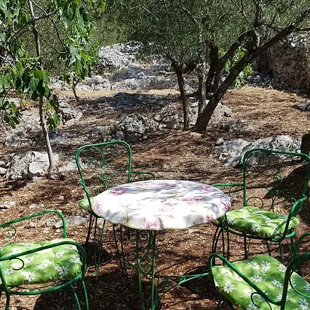 Apartment Cozy Jezera