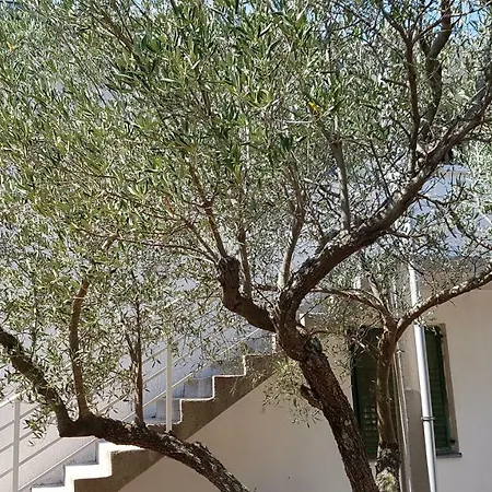 Apartment Cozy Jezera