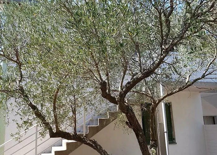 Apartment Cozy Jezera